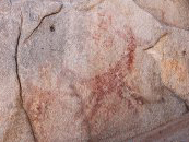 Arte rupestre -guanacos eran muy variosos esta epoca.